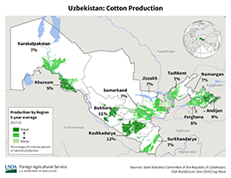 images\UZ\cropprod\Uzbekistan_Cotton_preview.jpg